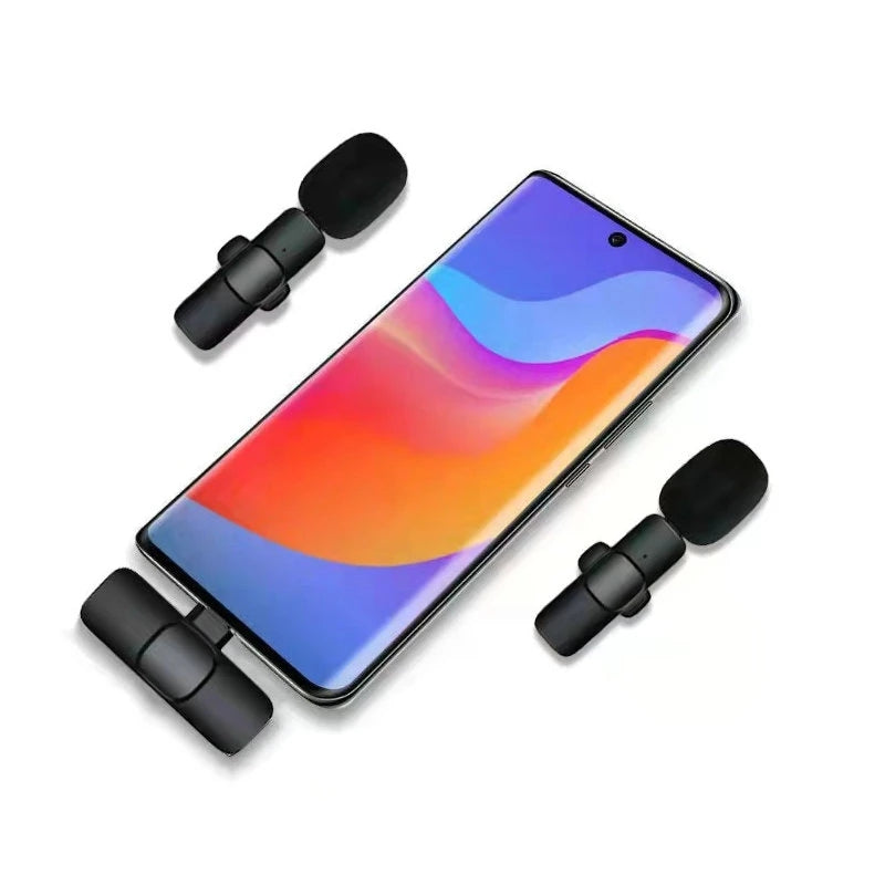 Micrófono Inalámbrico Portátil Mini